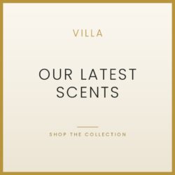 New Scents